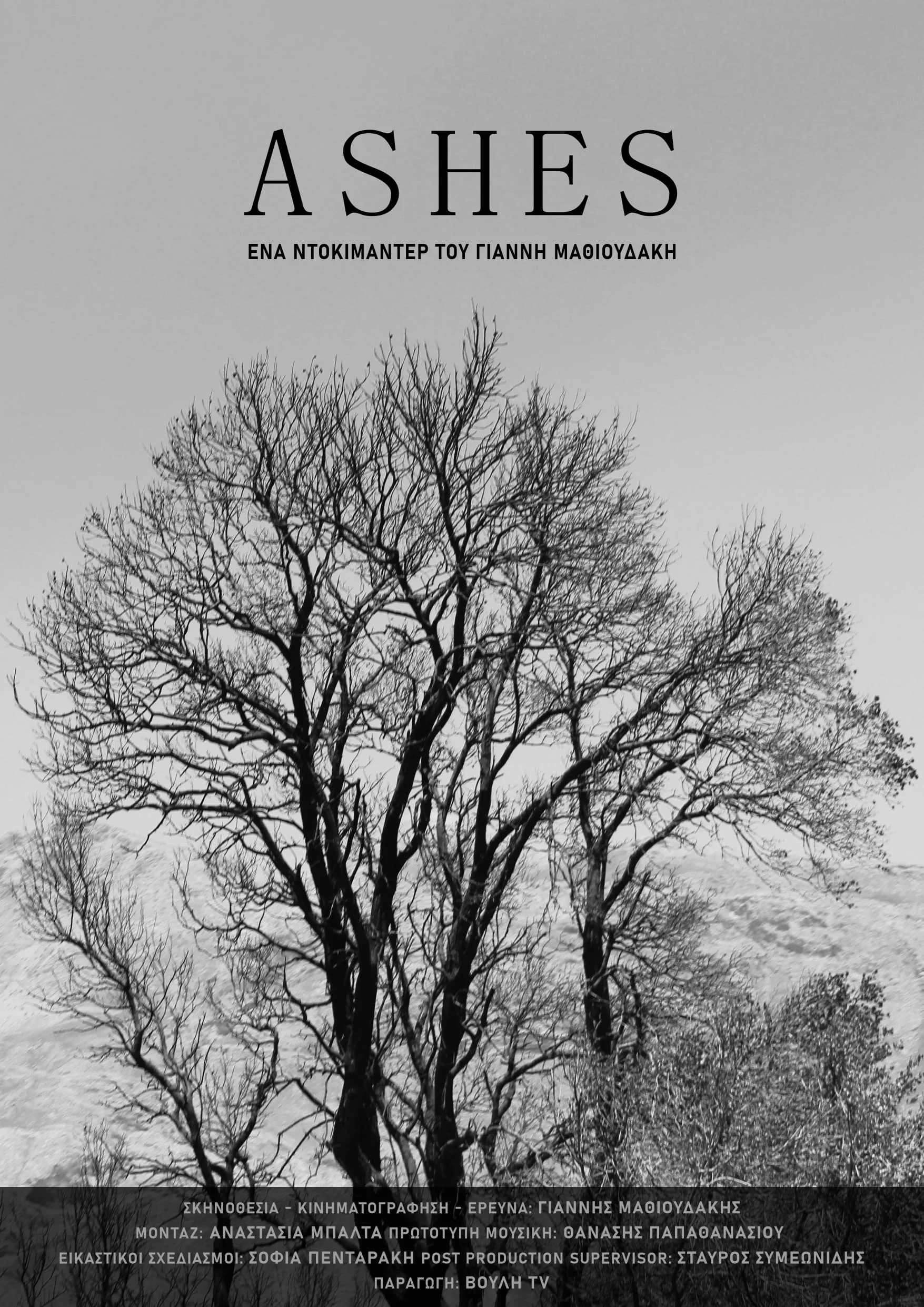 Ashes - Ashes (2024) Ashes - Ashes (2024)