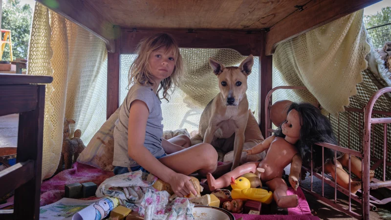 Đứa Trẻ Của Chiến Tranh - Don't Let's Go To The Dogs Tonight
